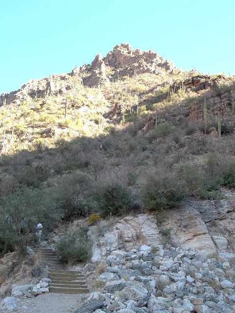 End of trail at Sabino Canyon